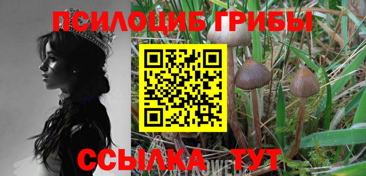 ГАШИШ  Бошки Шишки  Кулебаки  Мефедрон   А ПВП СОЛЬ   Каннабис  КЕТАМИН  Вход с VPN  COCAIN 