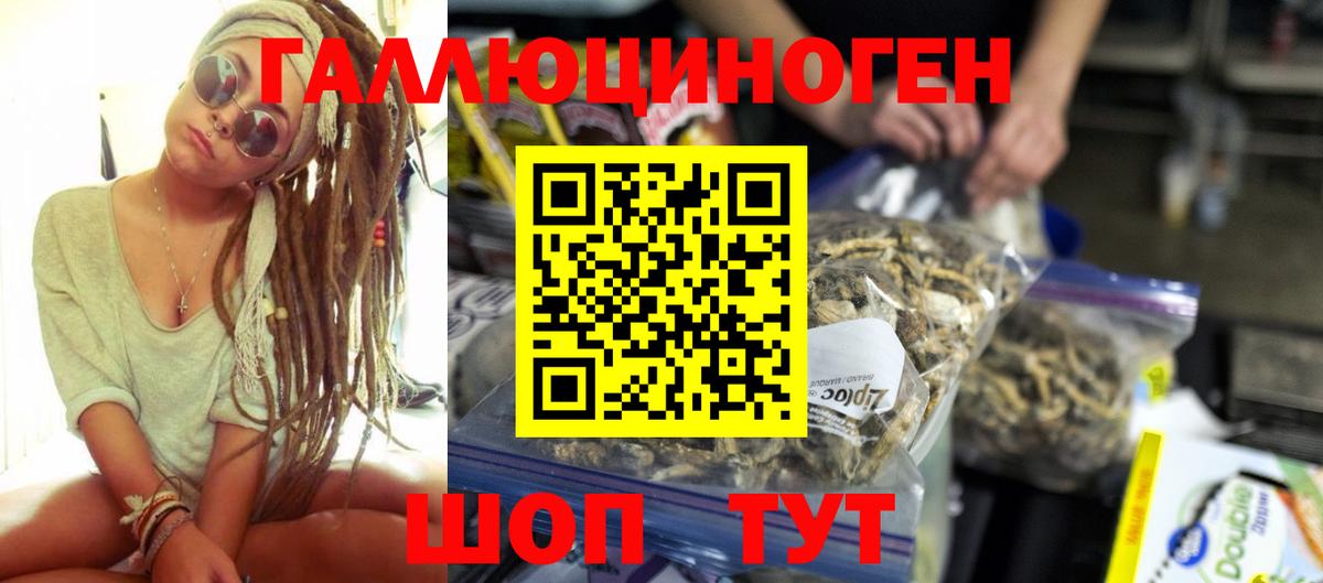 Галлюциногенные грибы Psilocybine cubensis Кулебаки